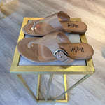 Corkys Footwear - Women's What's The Gossip Thong Sandals