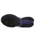 ABZORB 2010 - Neptune Grey/Violet Crush