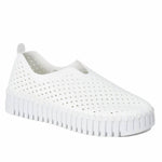 Ilse Jacobsen - Women's Tulip 3373 Shoes