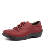 Ziera - Women's Allsorts Lace Up Shoe