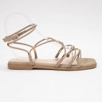Ccocci - Women's Macy Gladiator Sandal