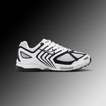 Air Pegasus 2K5 - White/Metallic Silver/Black