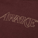 Awake Classic Outline Logo Paneled Embroidered Hoodie - Brown
