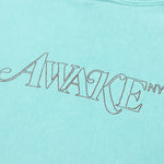 Awake Classic Outline Logo Paneled Embroidered Hoodie - Teal