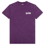 BB Merit S/S Knit - Amaranth Purple