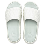 CMFRT Slides - Platinum