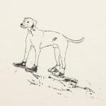 Converse x Bandulu Dog Tee - White/Asparagus