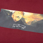 Explosion Hoodie - Maroon