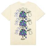 Worldwide S/S Knit - Pear Sorbet