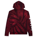 Legacy AJ6 Graphic Fleece Pullover Hoodie - Black/Gym Red
