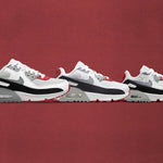 Air Max 90 LTR (GS) - Photon Dust/Particle Grey/Varsity Red