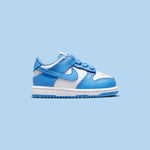 Dunk Low (TD) - White/University Blue