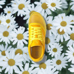 Saucony x Hommewrk Jazz 81 - Lunch Box Yellow