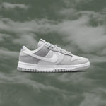 Women's Dunk Low LX NBHD - Light Smoke Grey/White/Photon Dust