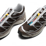 XT-6 - Earth Brown/Walnut/Footwear Silver