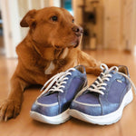 Finn Comfort - Women's Piccadilly Lace Up Leather Sneakers