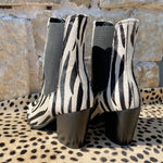 Camel Toes Shoes - Women's Stepping Out In Style Zebra Booties