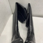 Raye - Women's Denisse Pointed Toe Knee High Boot